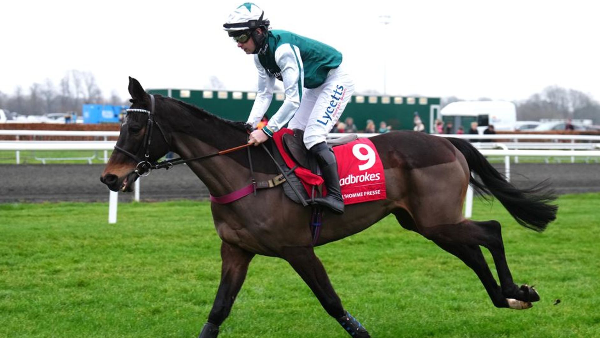 L'Homme Presse team 'devastated' as star is ruled out of Grand National