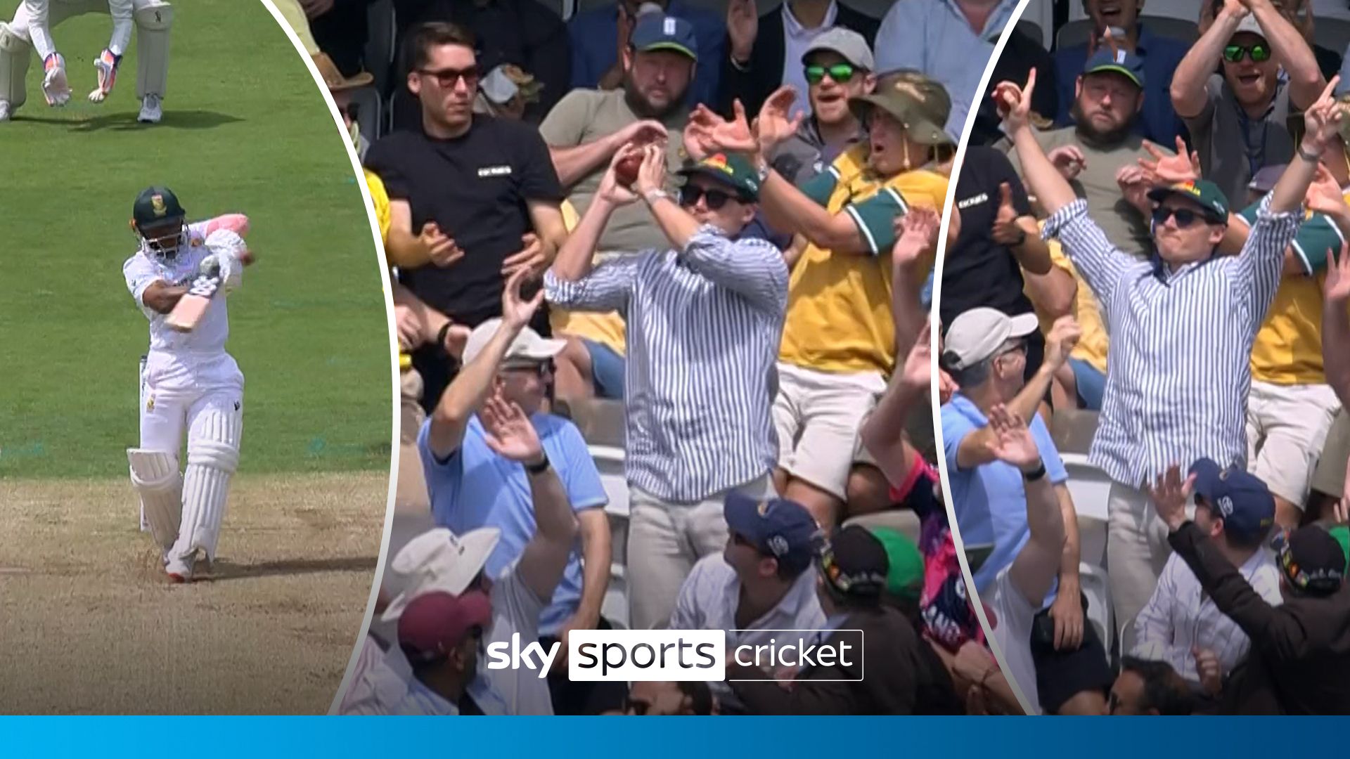 'A real nice catch!' | Aussie fan in crowd takes brilliant catch from huge six