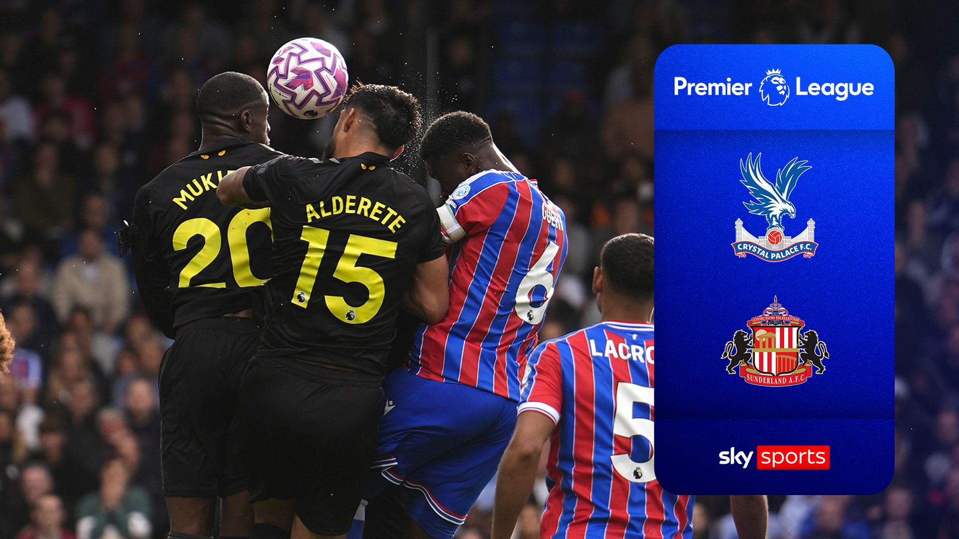 Roefs in inspired form to earn Sunderland battling Palace point