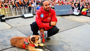 Lewis Hamilton with Roscoe at this year's British Grand Prix