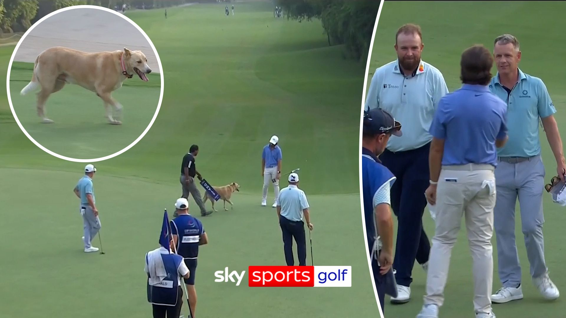 Playing out from the RUFF! Dog stops Fleetwood, Lowry and Donald putts on 18th
