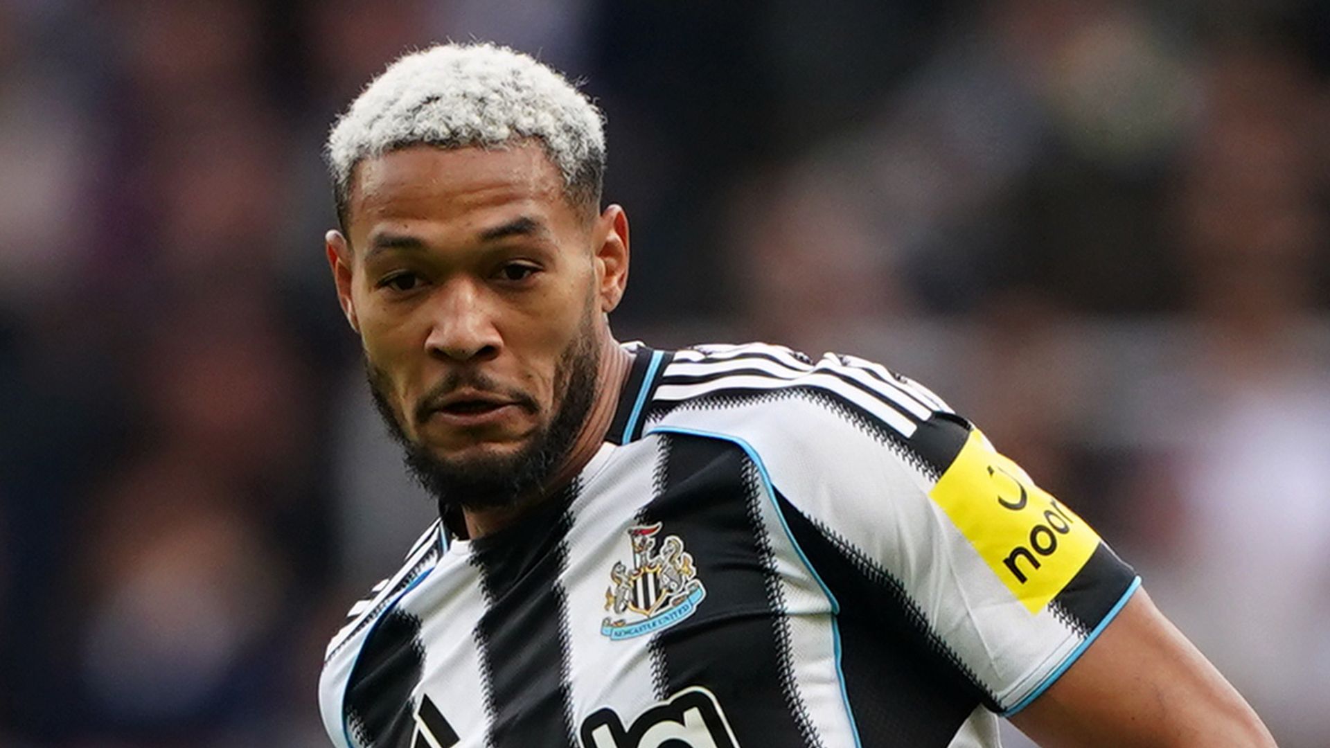 Brighton vs Newcastle preview: Joelinton, Ramsey expected to be available