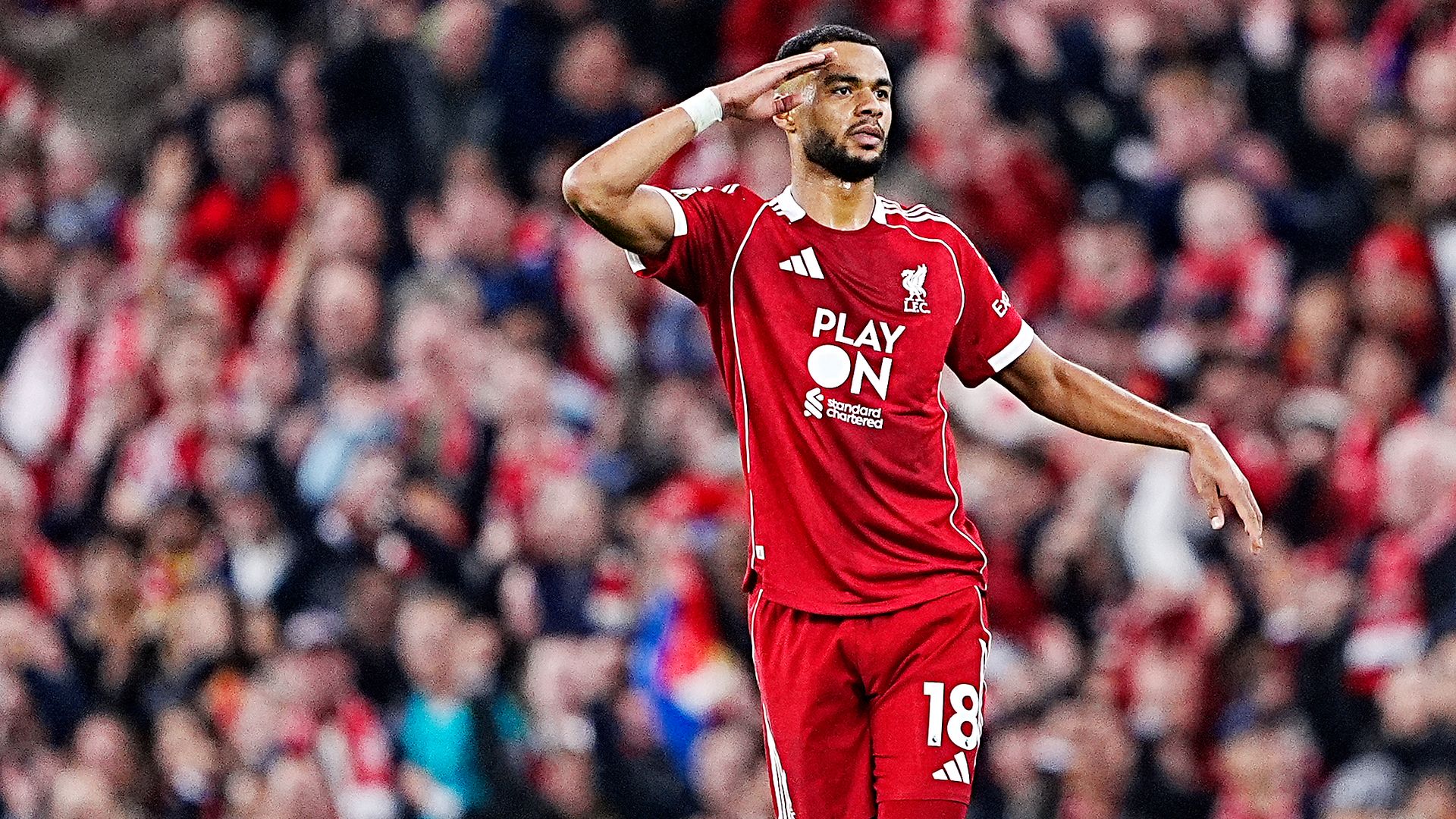 Spurs interested in Liverpool's Gakpo