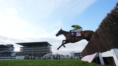 Inothewayurthinkin won the 2025 Cheltenham Gold Cup