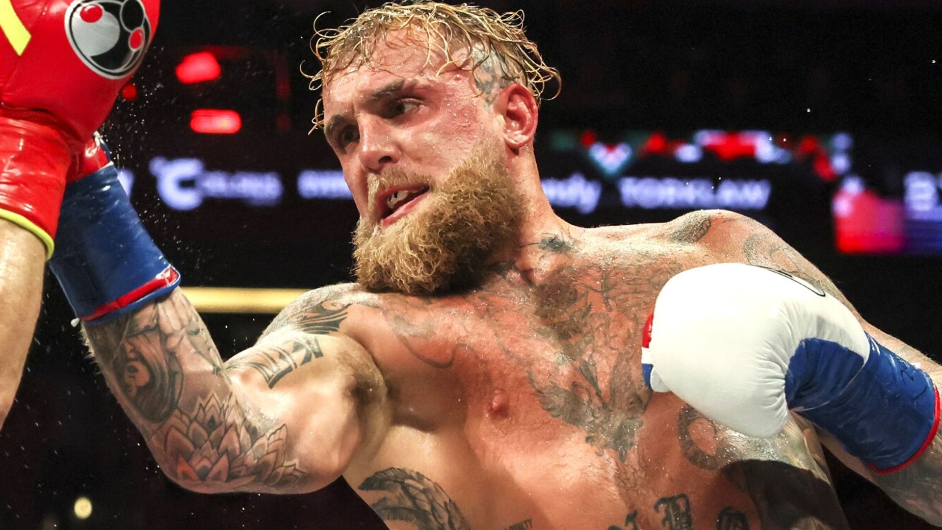 Paul could target Tommy Fury rematch in UK next