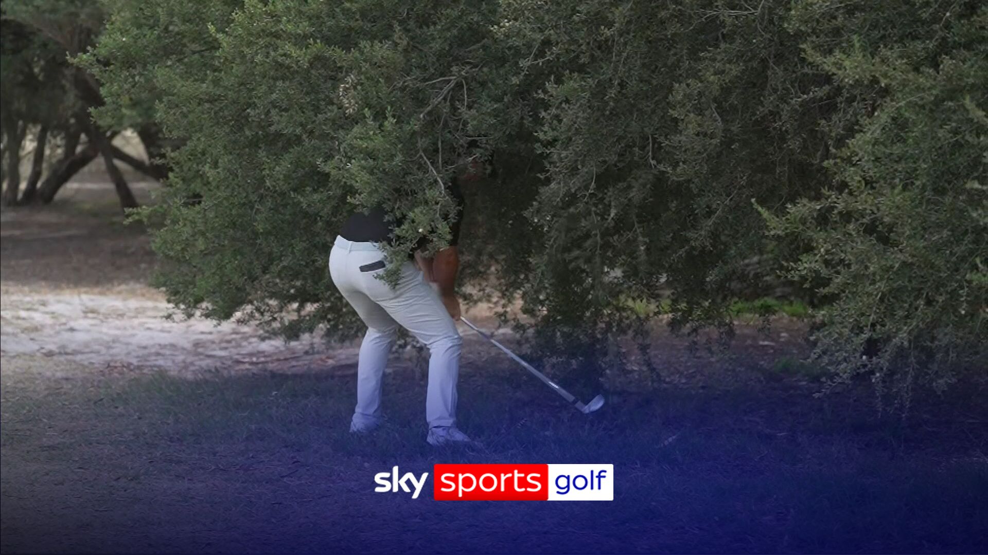 Rory 'nowhere near making contact' after disappearing into a bush!