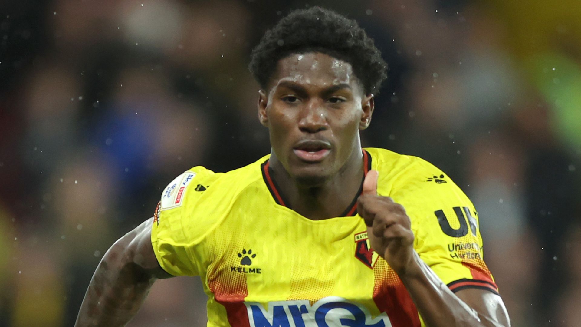 Watford hit back to hold Sheff Wed