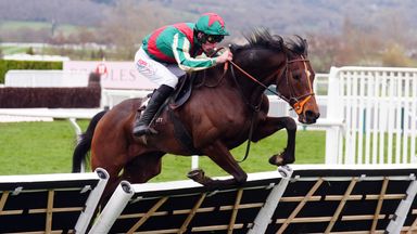 Jet Blue has been tipped up to land Saturday's Long Walk Hurdle