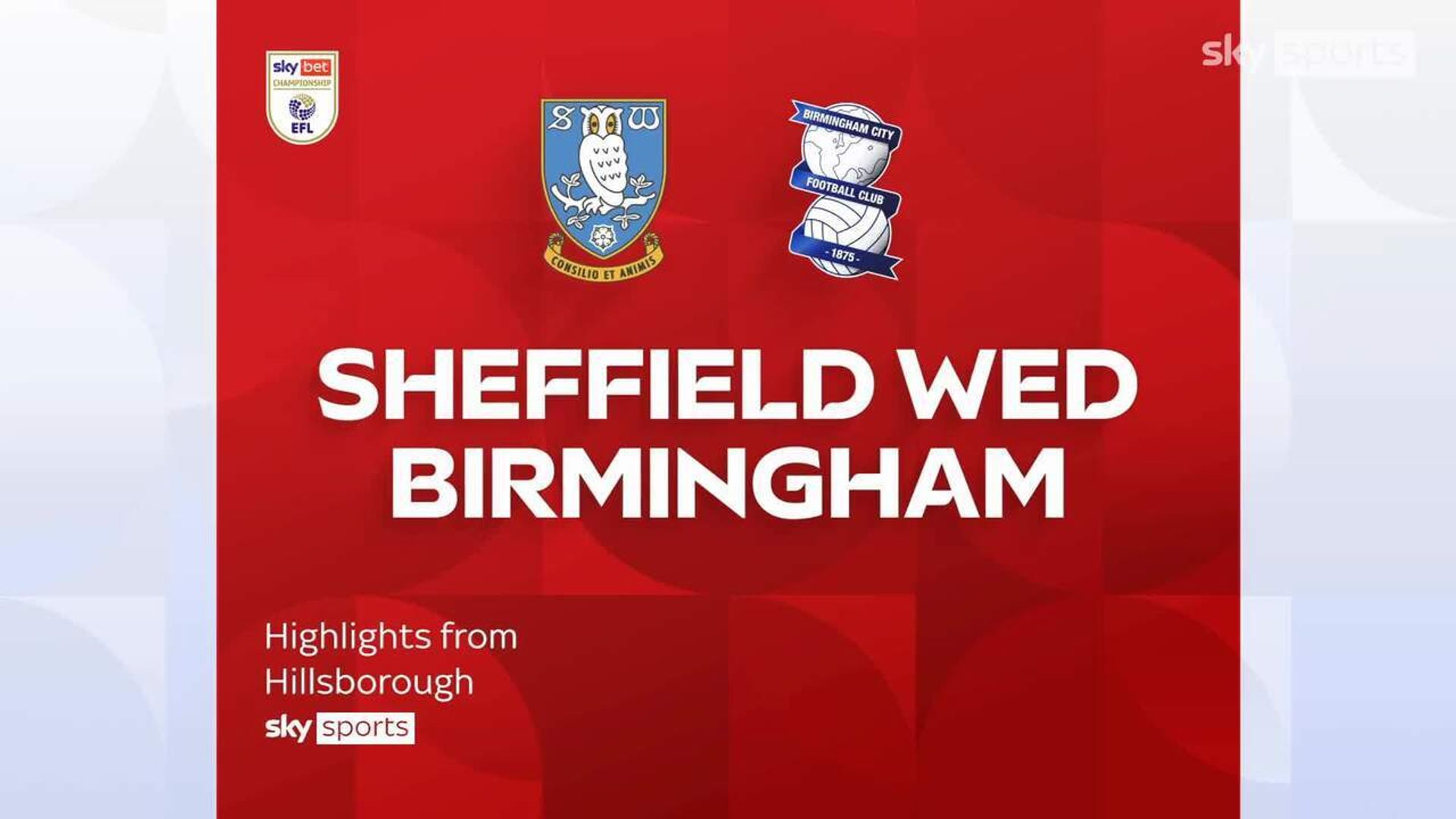 Sheffield Weds 0-2 Birmingham