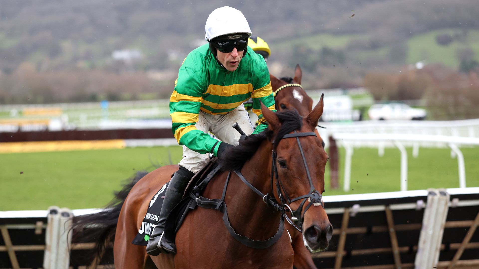 Sir Gino injury mars The New Lion's Unibet Hurdle win at Cheltenham