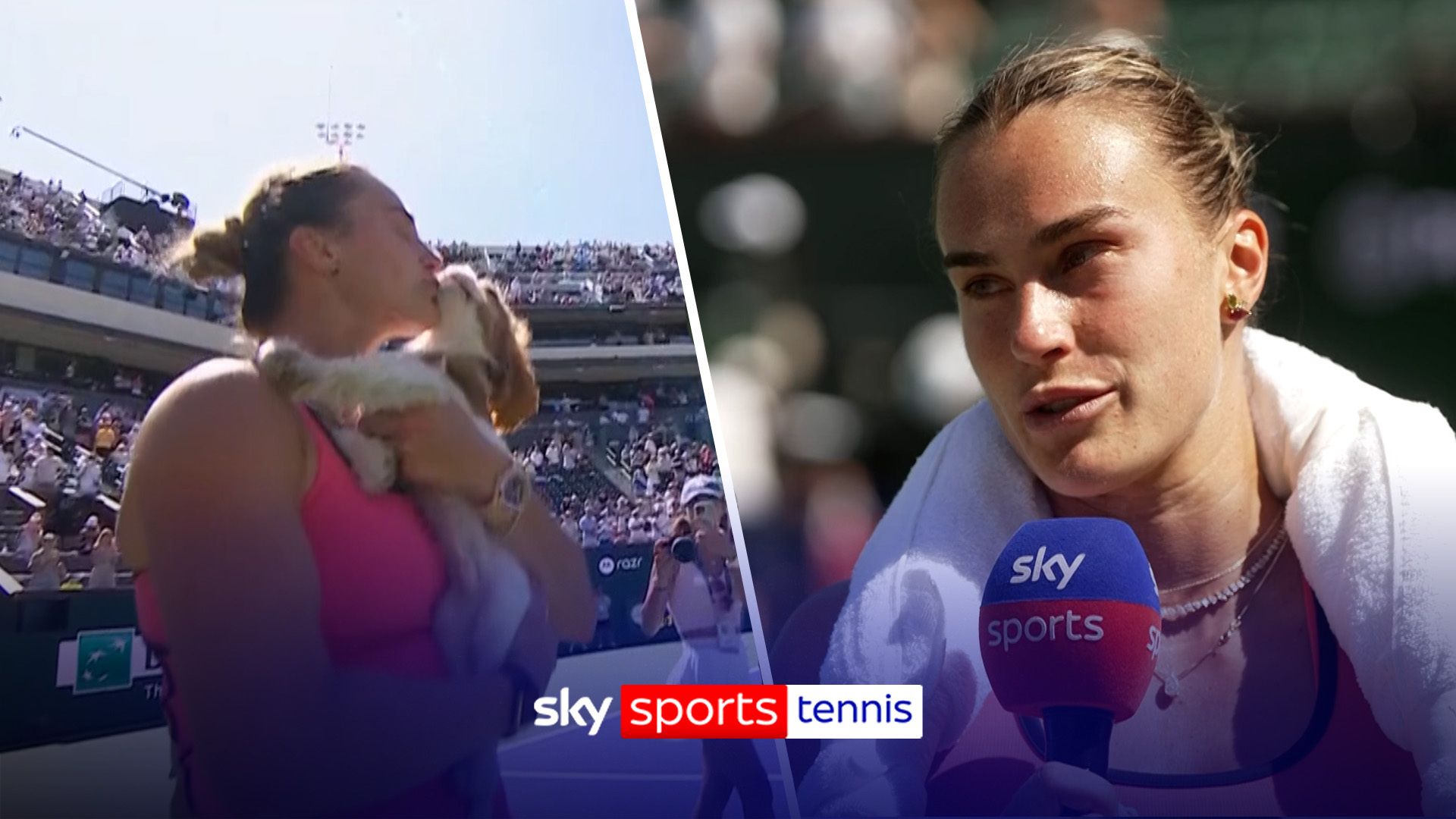 'He's so cute isn't he?!' | Sabalenka celebrates Indian Wells win with her dog on court