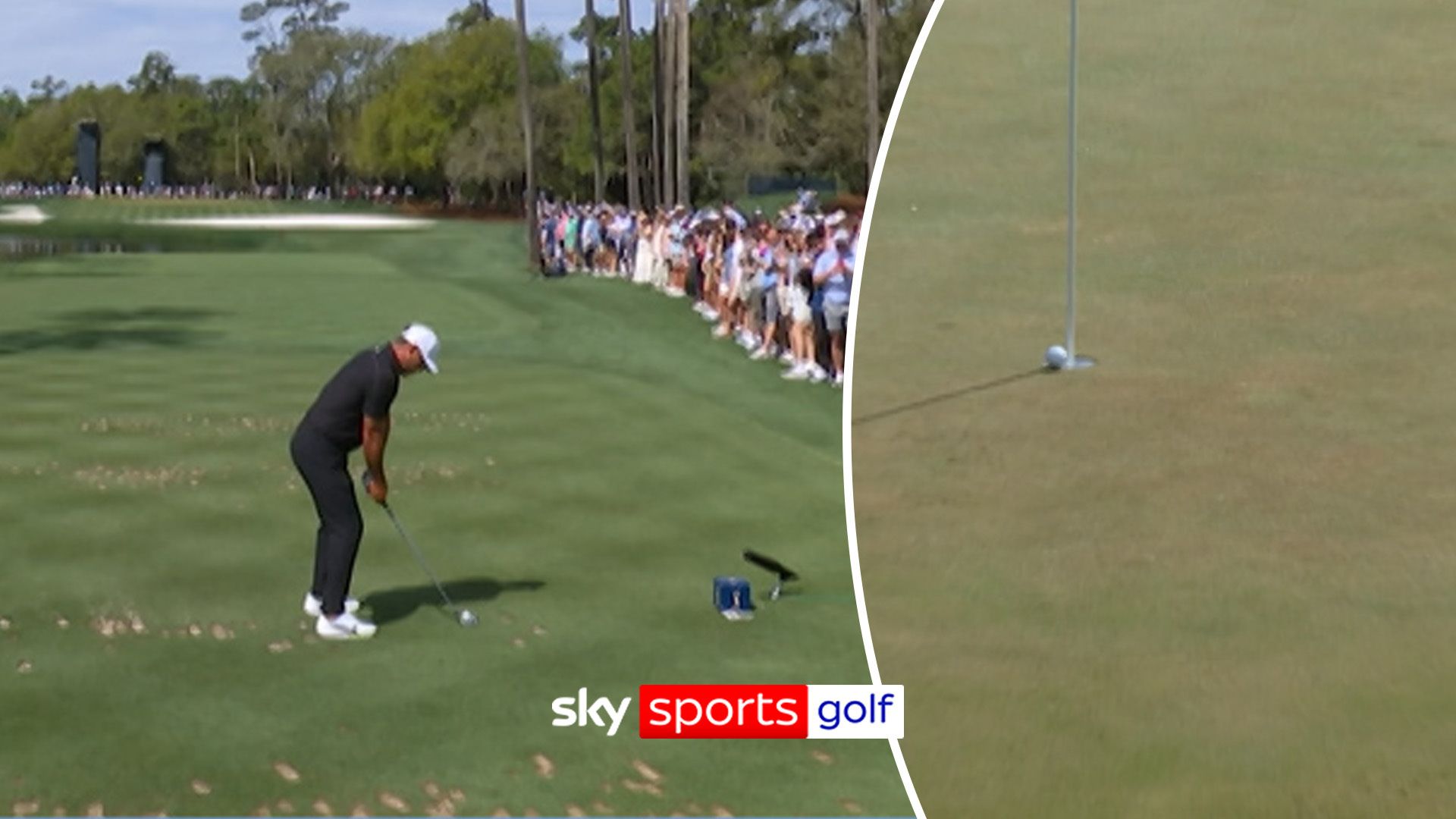 You can't get much closer! Koepka almost makes hole-in-one!