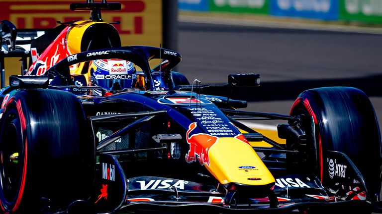 Max Verstappen (Red Bull) in Japan.