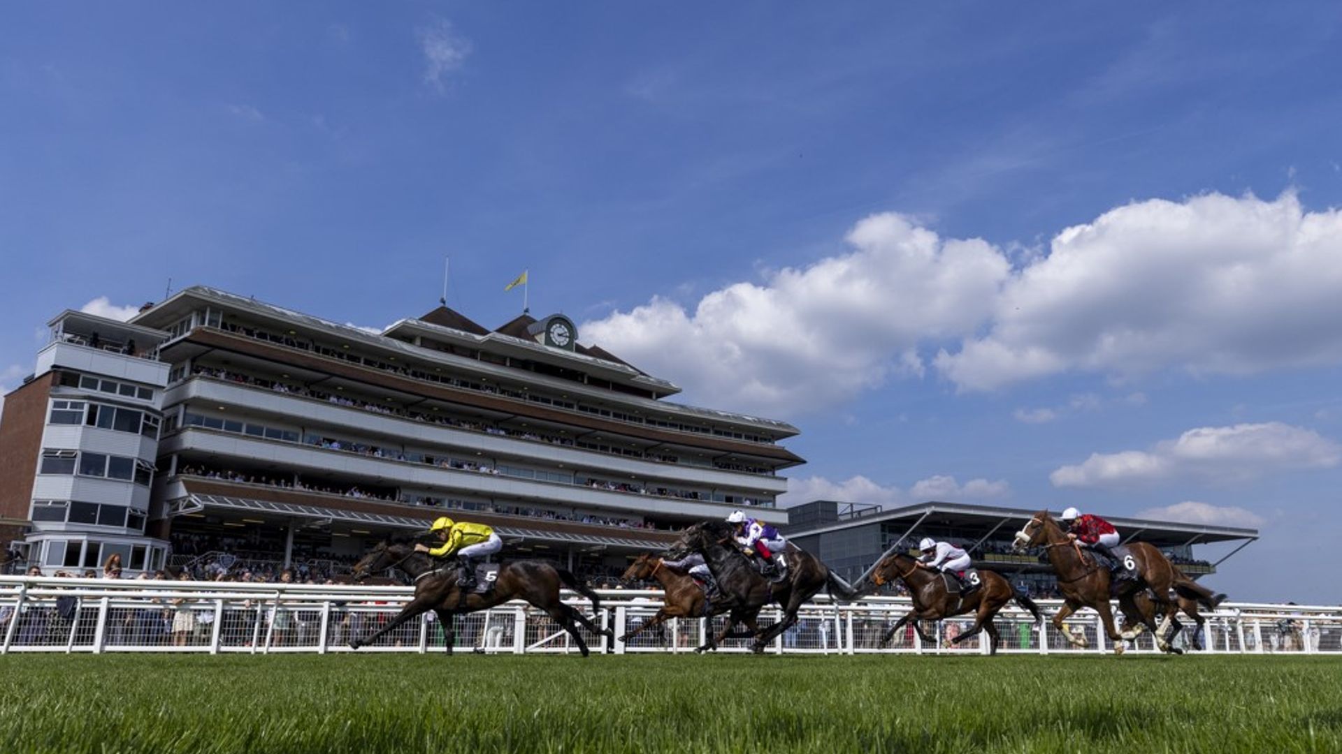 Zavateri and Albert Einstein lock horns in Greenham