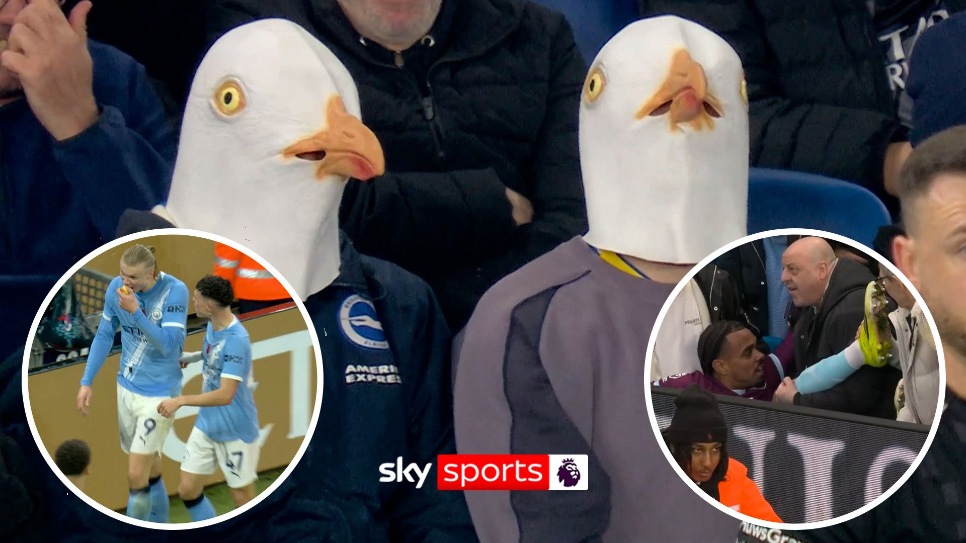 Seagulls! 6-7! Funniest moments of the Premier League season so far!