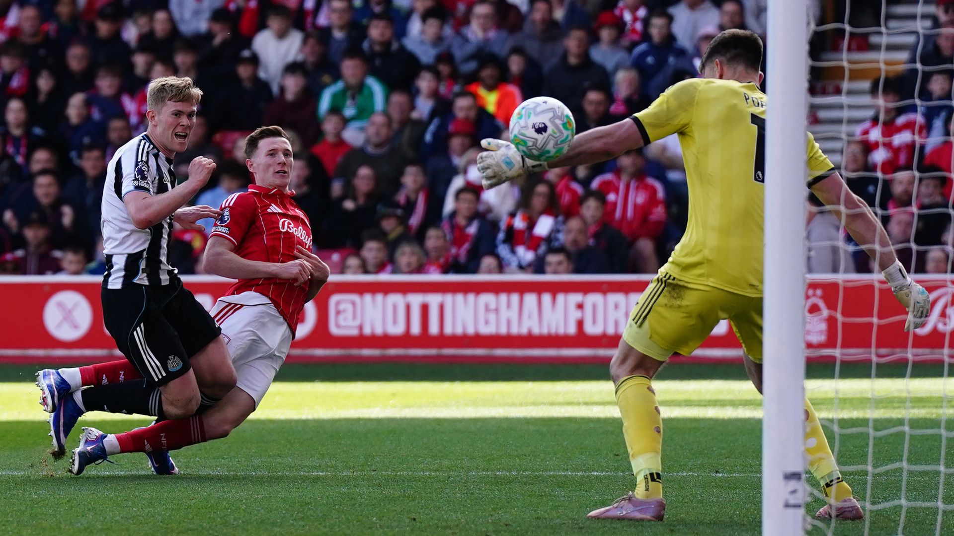 Anderson haunts Newcastle to rescue draw for Forest