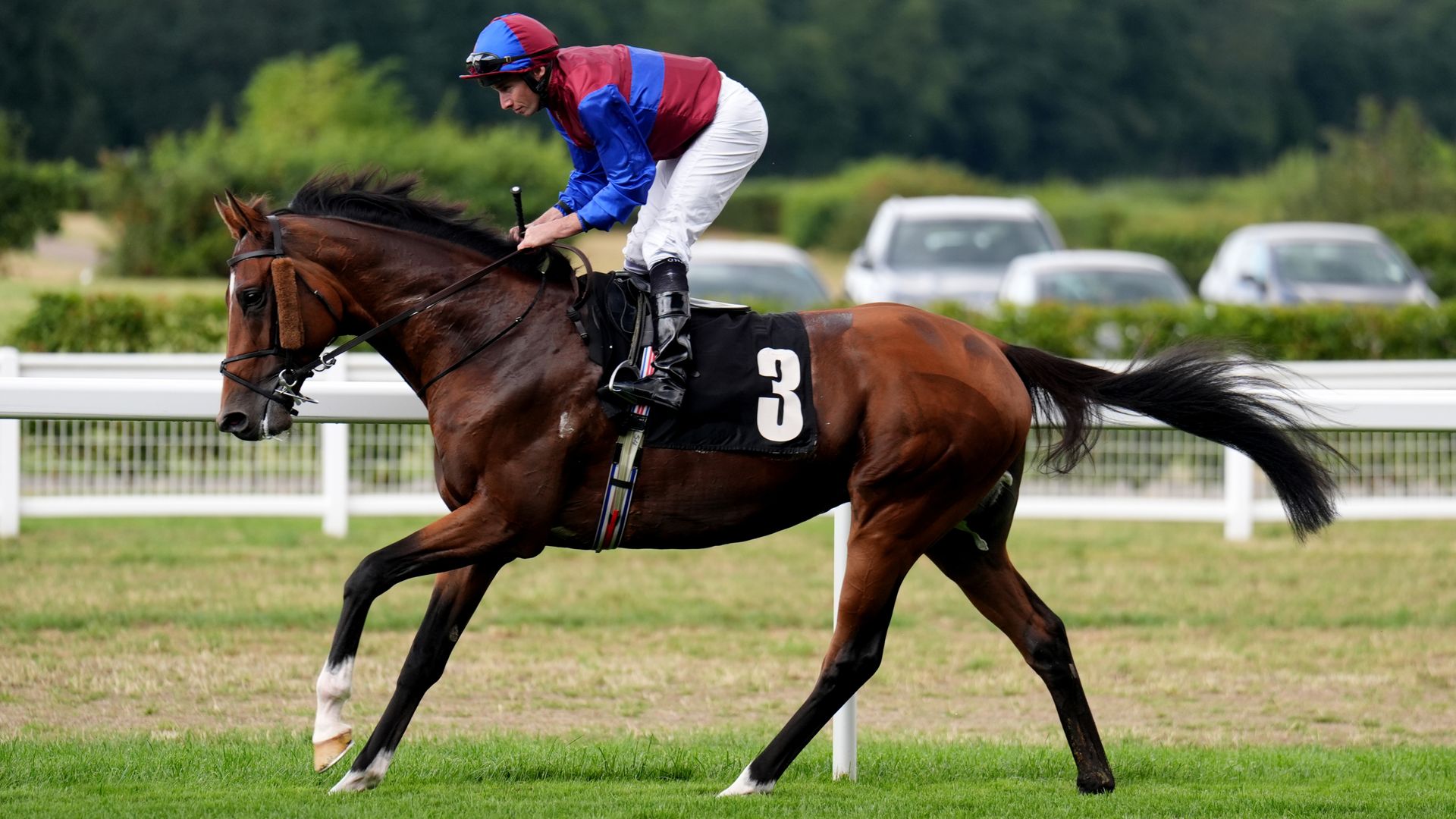 Jan Brueghel and Illinois clash in Ormonde Stakes