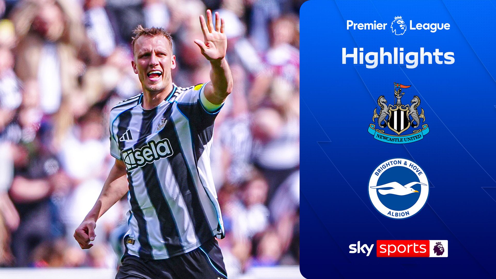 Newcastle hit three past Brighton to ease pressure on Howe