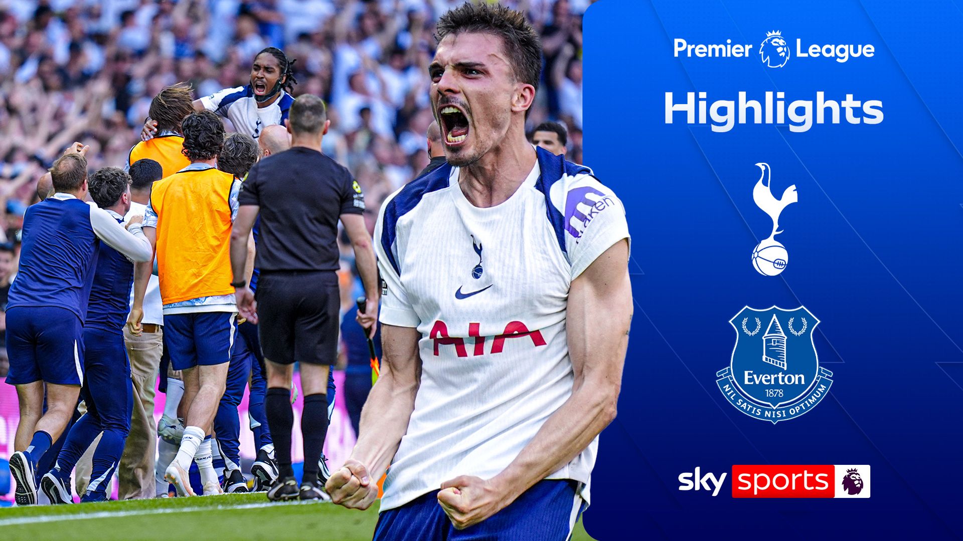 Palhinha strike sees Spurs secure PL status with win over Everton
