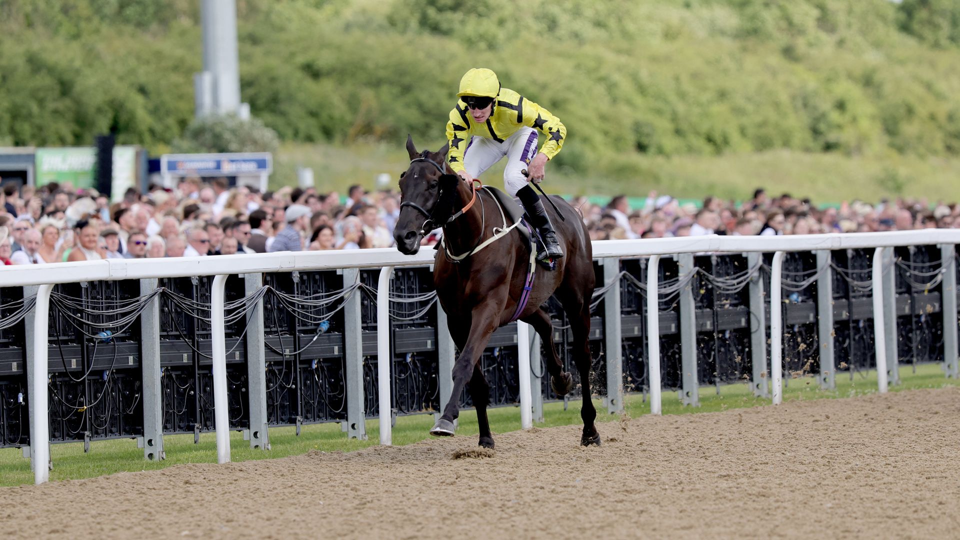 Align The Stars wins Northumberland Plate at Newcastle