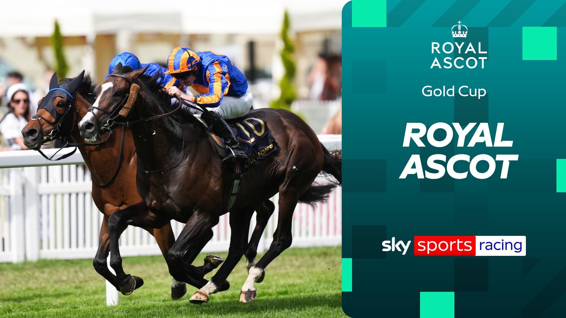 Royal Ascot'tan bir gerilim filmi | İskandinavya'nın Altın Kupa zaferini tam olarak izleyin!