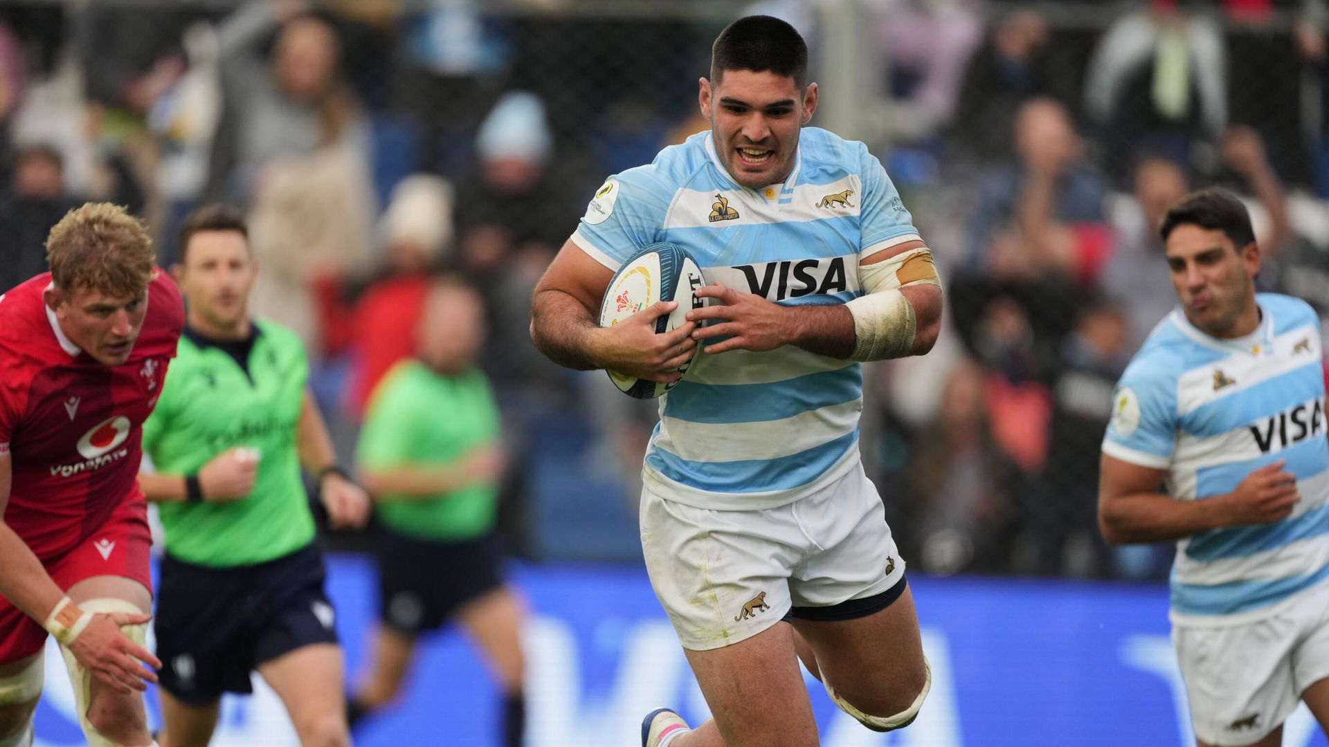 Wales fail to build on strong start in defeat to Argentina
