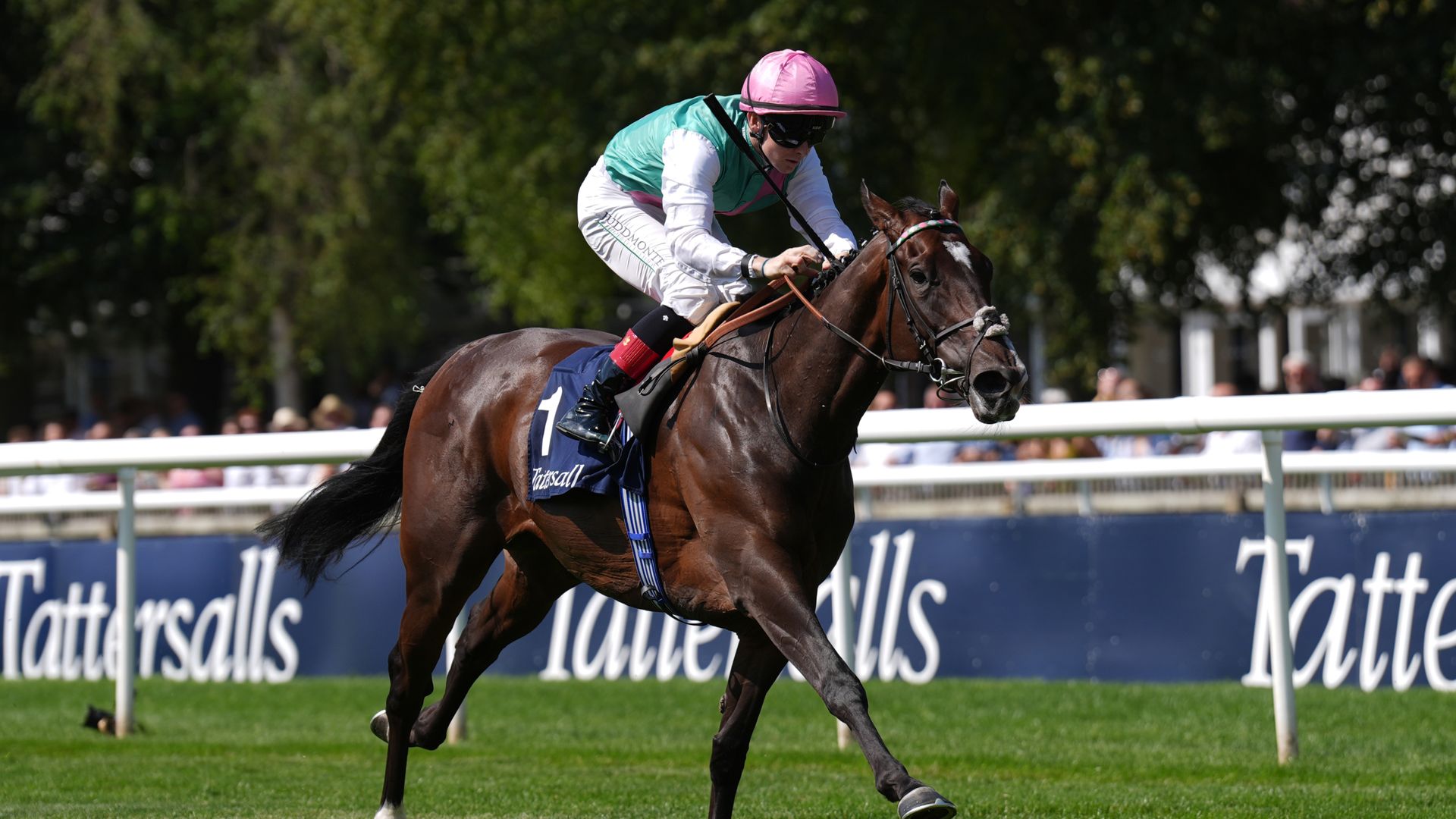 Today on Sky Sports Racing: Blue Bolt and Precise clash again in Prix Rothschild