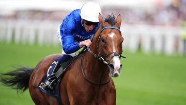 Ombudsman's half-sister Syndicale will be in action at Wolverhampton on Tuesday