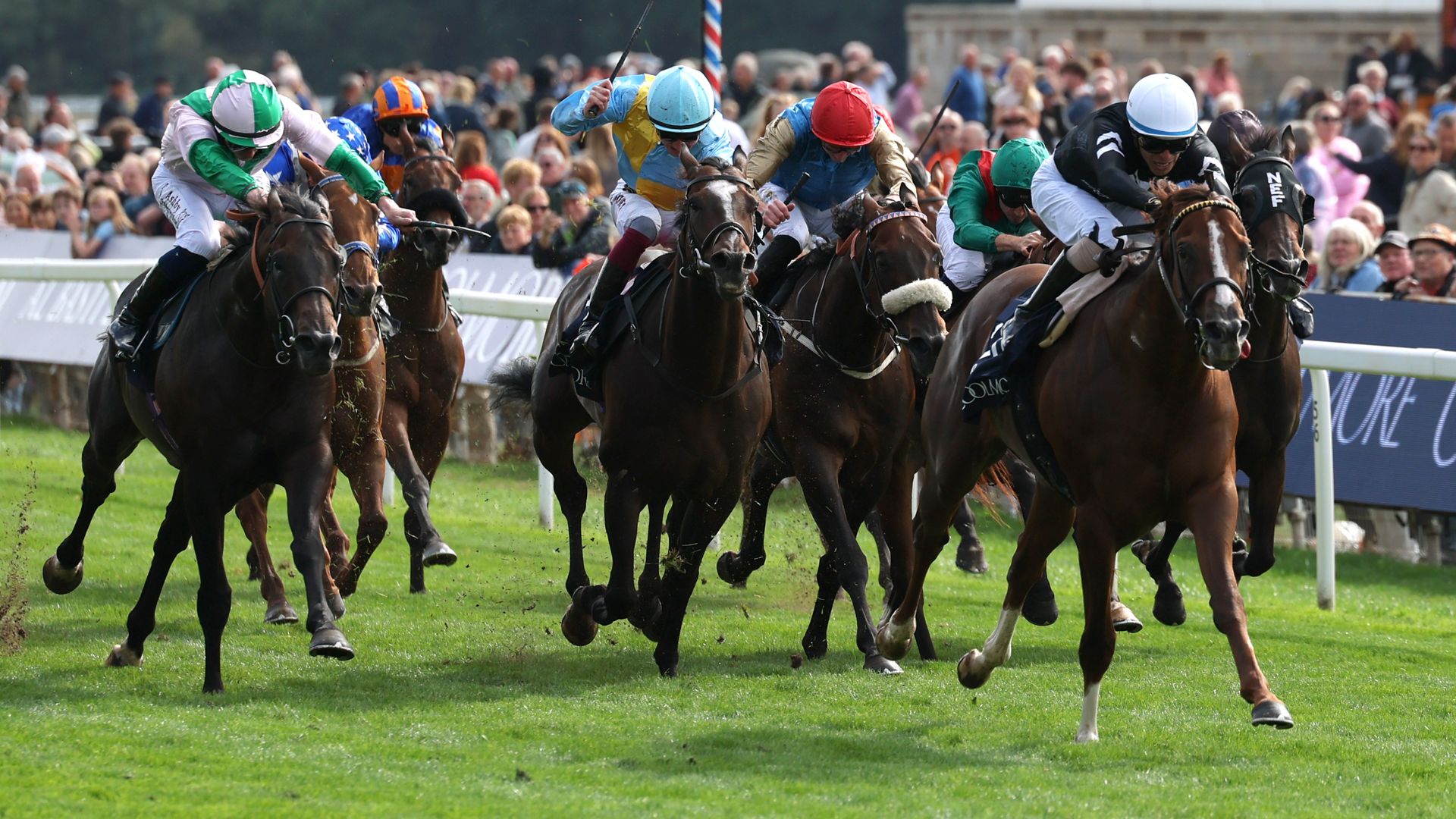 Bacio blazes a trail to win York's Nunthorpe Stakes