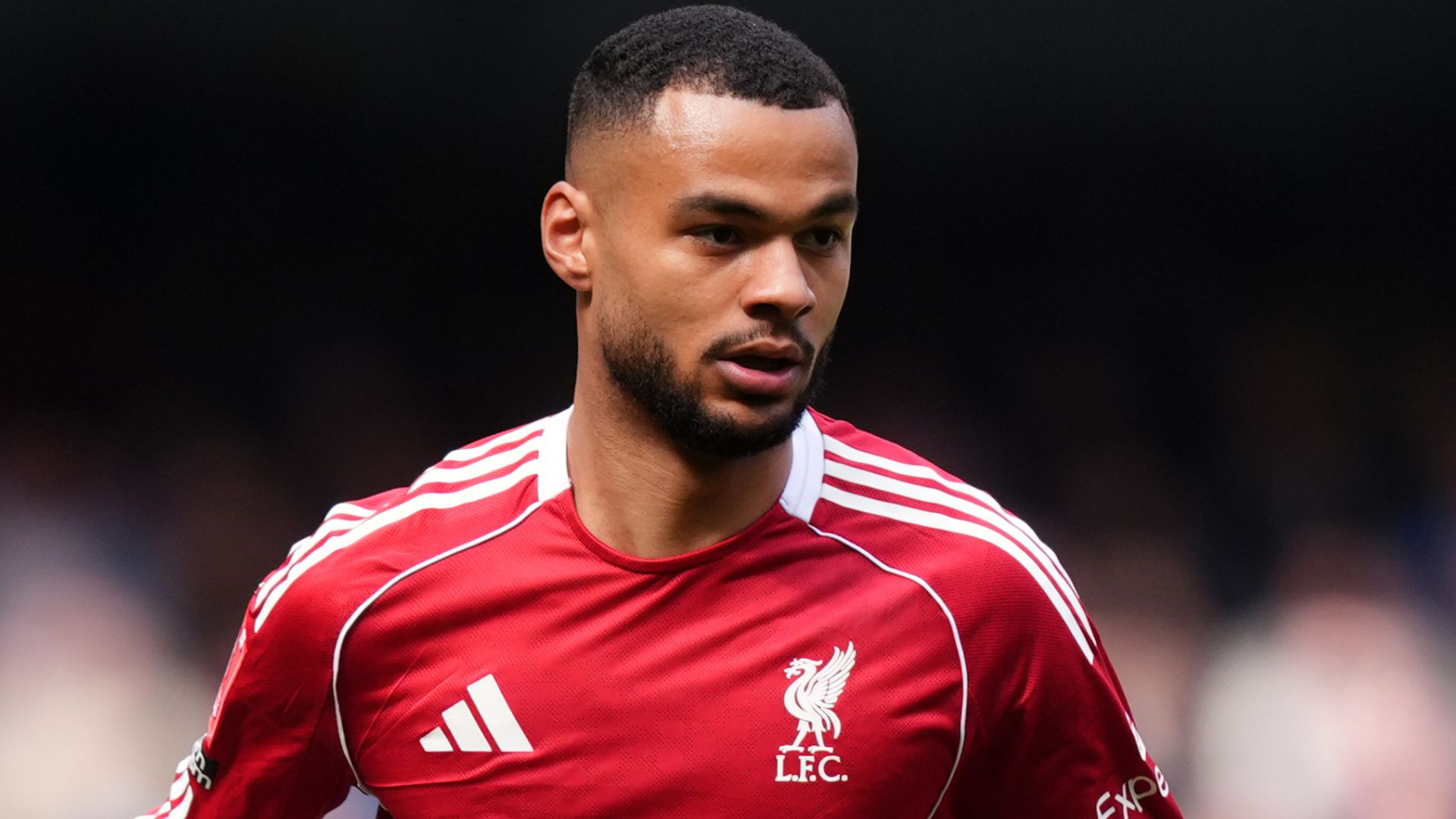 Spurs interested in Liverpool's Gakpo