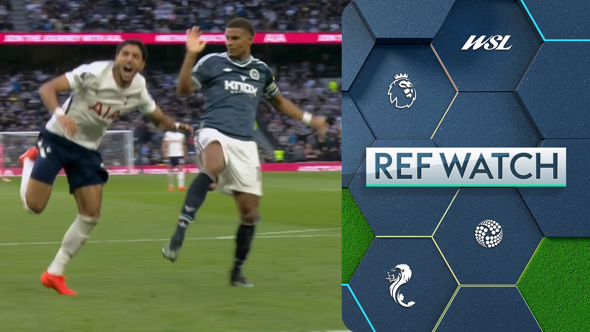 Should Spurs have been given a penalty against Newcastle?