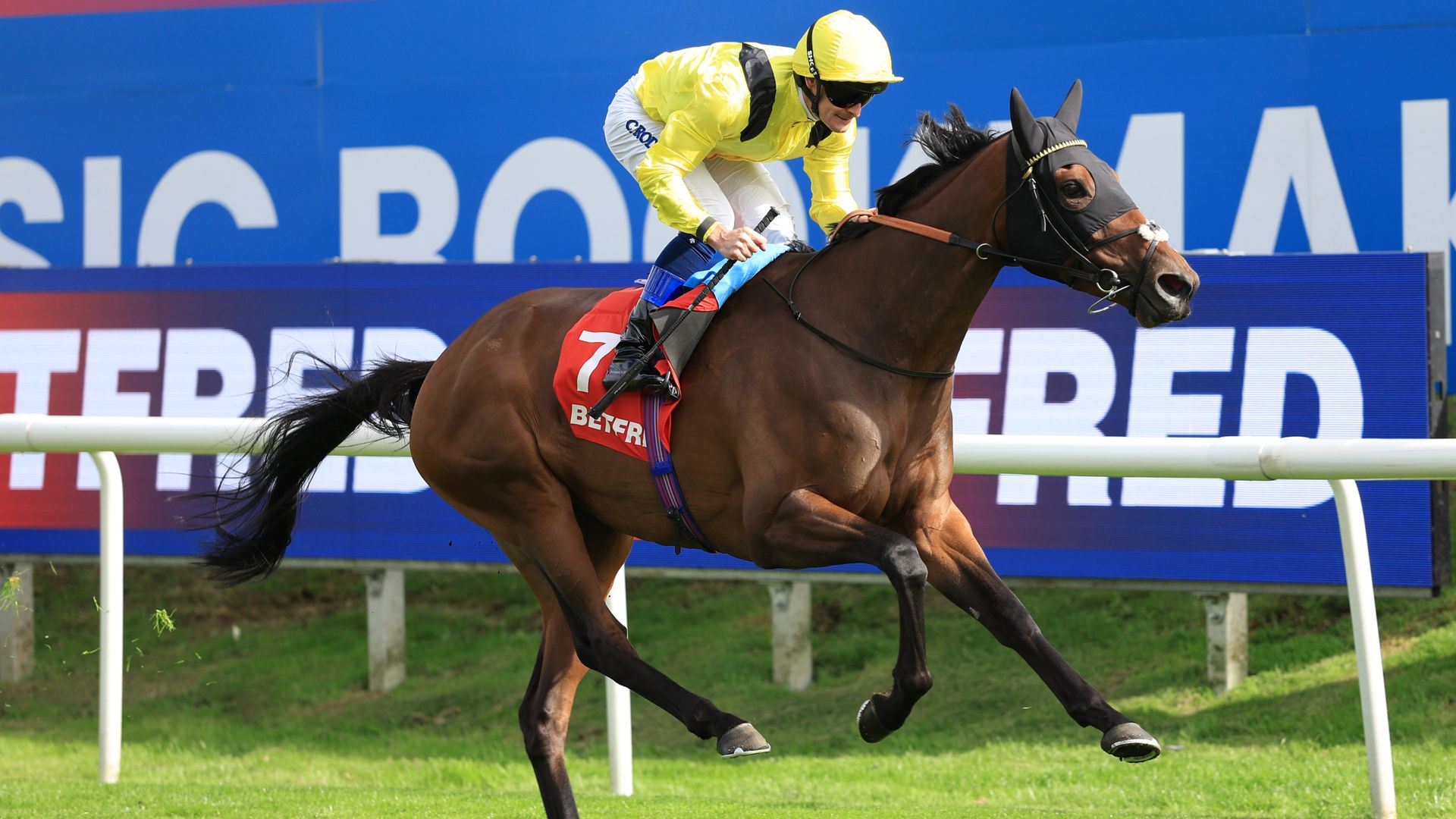 Waardah impresses with Park Hill win