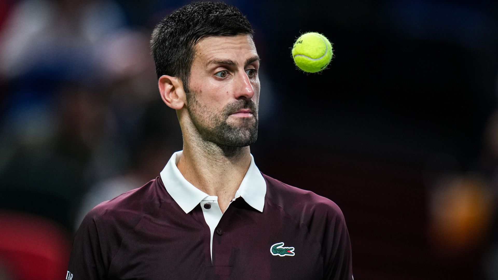 Djokovic suffers shock second-round exit in Shanghai and Fery beaten