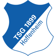 Hoffenheim badge