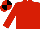 Red and Black Quarters