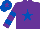 Purple, Royal Blue star, hooped sleeves, Royal Blue cap, Purple star