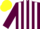 Maroon and White stripes, Maroon sleeves, yellow cap