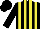 Black and yellow stripes