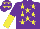 Purple, yellow stars, halved sleeves and stars on cap