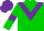 Green body, purple chevron, green arms, purple armlets, purple cap