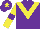 Purple, yellow chevron, yellow sleeves, purple armlets, purple cap, yellow star