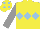 Yellow body, light blue triple diamonds, grey arms, yellow cap, light blue spots