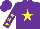 Purple, yellow star, yellow stars on sleeves, purple cap