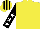 Yellow, black sleeves, white stars, yellow and black   striped cap