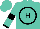 Turquoise, black circled 'h', black hoop and cuffs on slvs