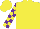 Fuschia, yellow disc, purple blocks on sleeves