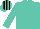 Turquoise with black striped cap