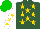 Hunter green, gold stars, white sleeves, gold stars, green cap