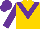 Gold, purple 'v', purple sleeves, purple cap