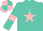 Turquoise, pink star, pink armlets on sleeves, pink and turquoise quartered cap